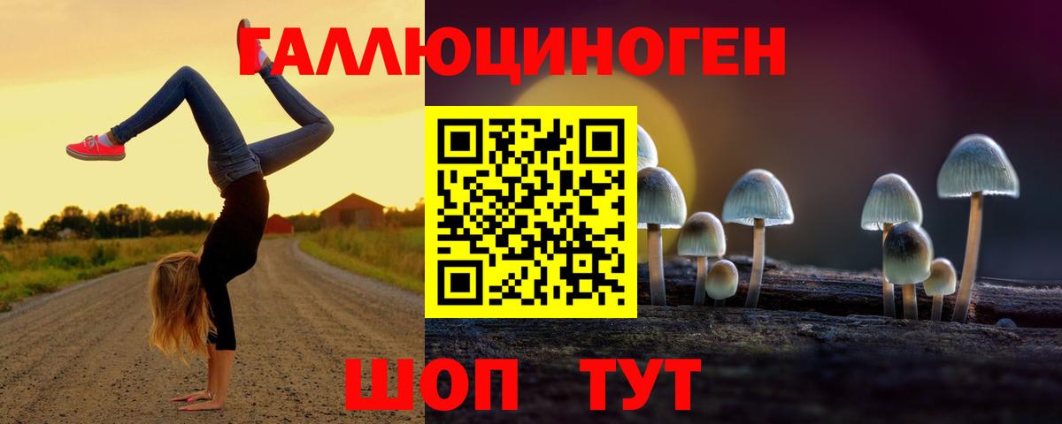 Галлюциногенные грибы ЛСД  Вход с VPN  купить наркотики сайты  Галлюциногенные грибы Cubensis  Знаменск 